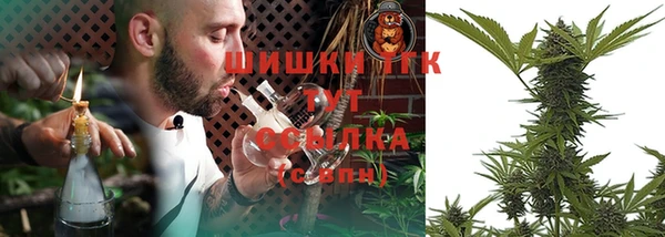 амф Богородск