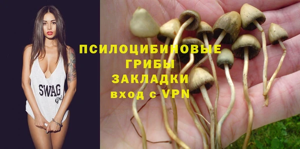 тгк Богданович